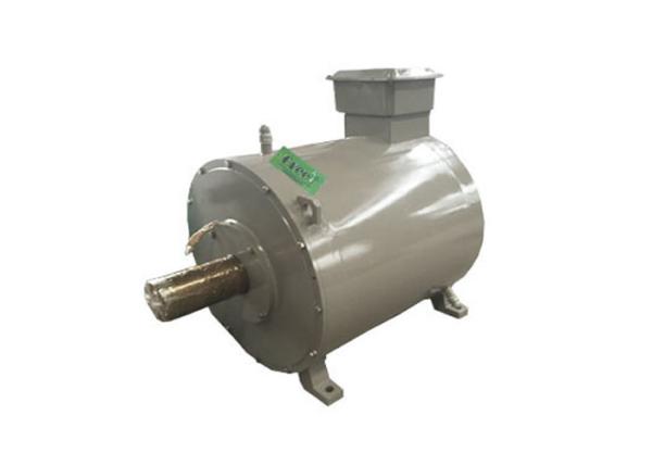 Brushless Permanent Magnet Generator , Water Turbine Wind Turbine Generator