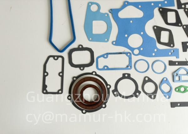 Conjunto de juntas do motor MAMUR para peças automáticas de camião QUANCHAI QCN490Q