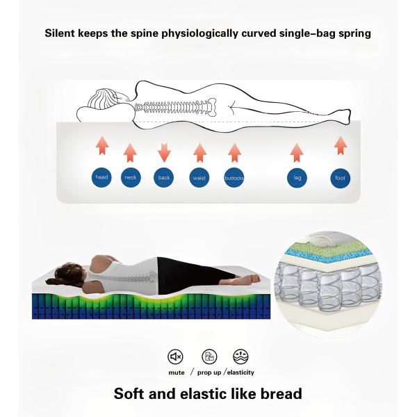 Natural Home Bedroom Massage Nine-zone Independent Spring Mattress with Modern Design