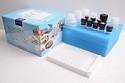 Whitelist SARS-CoV-2 Antigen IVD Kit Swab