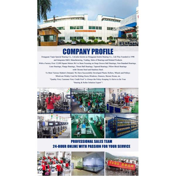 Food Grade AISI304 Deep Groove Ball Bearings S6000ZZ 10*26*8mm