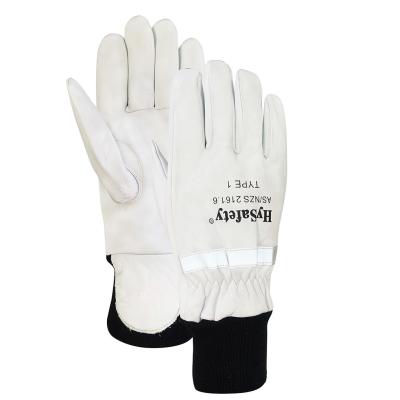 TIPO de AS/NZS 2161.6-2003 - 1 sapador-bombeiro Gloves XS do certificado ao XL