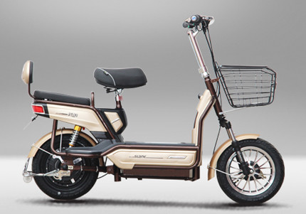 Pedal Assisted Throttle Activated Electric Bike 48V 500W Two Wheels 38KM/H