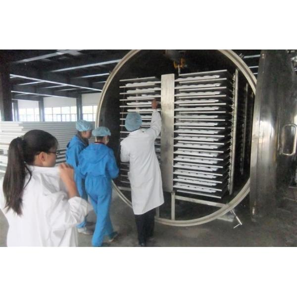 Fruit / Vegetable Food Production Dryer Machines  vacuum freezen