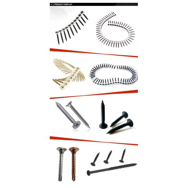 Anti-corrosion galvanized collated drywall screw collated self-tapping screws