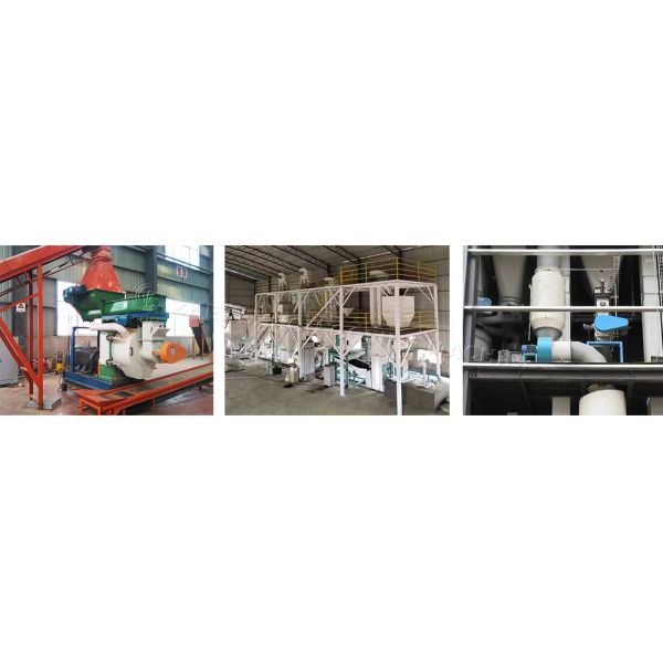 Versatile Pelletizing Solutions Ring Die Pellet Machine For Fertilizer & Biomass