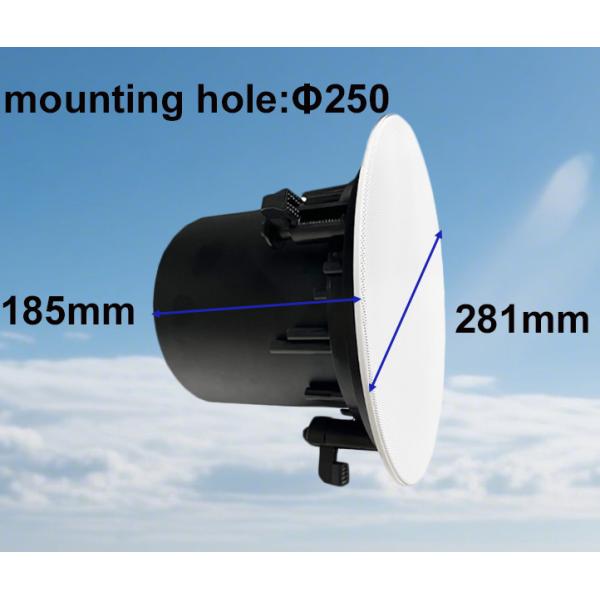 40W/20W/10W/5W 8-inch Coaxial Speaker Ceiling Speaker 100V/70V/8ohm Commercial Audio Iron Material OEM ODM
