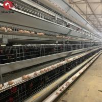 Type rangées de H des oeufs 10 de poulet de cage de poulet de couche de cailles