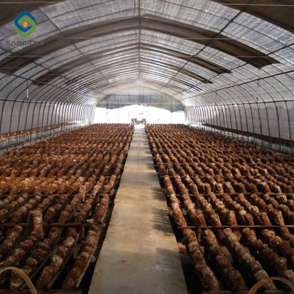 Mushroom 30m Light Dep Greenhouse Polythene Film Covered
