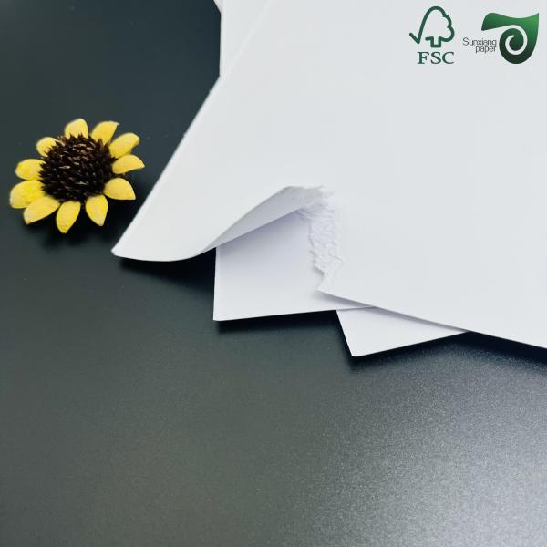 35PT 40PT Uncoated Cardboard Natural White Absorbent Pulpboard For Coaster Making