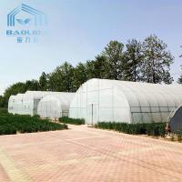 Serre chaude en plastique grandissante de tunnel de largeur de la Simple-envergure 10m d'agriculture de chou de film de PE
