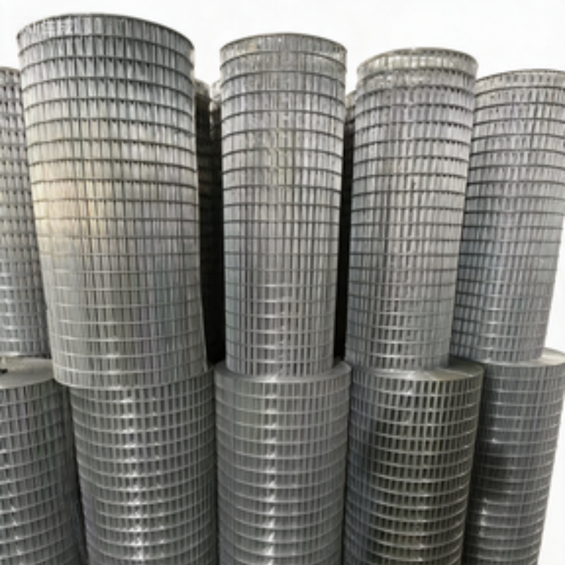 Hot Dipped Galvanized Welded Wire Mesh Roll with 12.5x12.5mm Hole and Low Carbon Steel for Wall Plastering