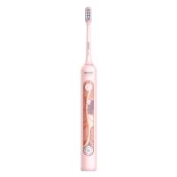 2024 Oem Wholesale Calidad Adulto Blanqueamiento Automático Recargable Cepillo de dientes eléctrico personalizado con Led