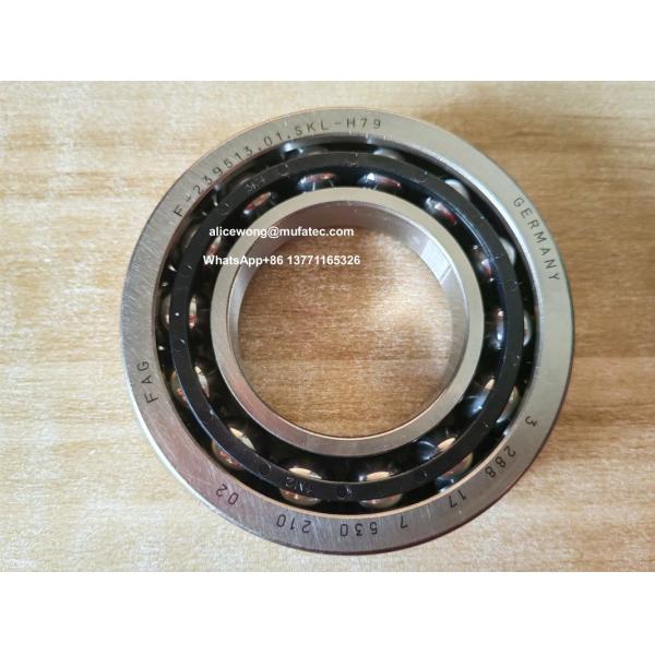 F-239513.01.SKL-H79 BMW differential side bearing double row angular contact ball bearing 41*78*17.5mm