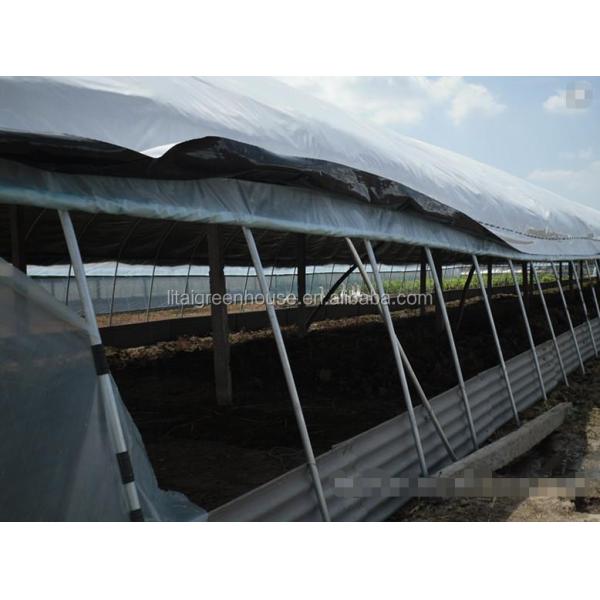 Ventilation Vents for 150/200micro PE Film Covered Greenhouse on Poultry Farm