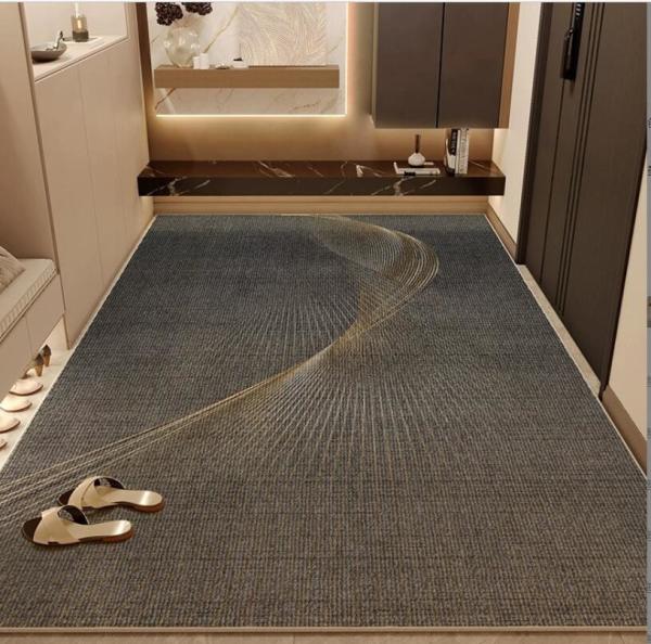 Entry Door Floor Mat 2024 New Door Entry Light Luxury High Sense  Floor Carpet Rug