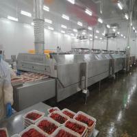 Congelador super 2800KG/H 3500KG/H da baixa temperatura de nitrogênio líquido do N2