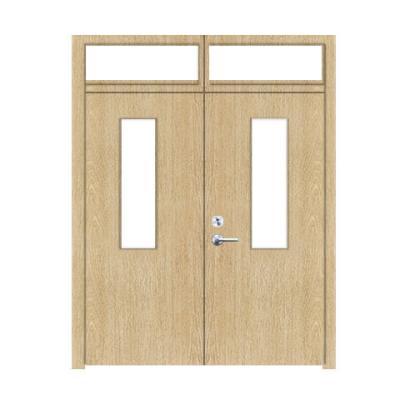 Dark Grey Color Powder Coating Self BS Fire Rated Door With Vertical Glass/ 16-18 Ga. Gal. Steel