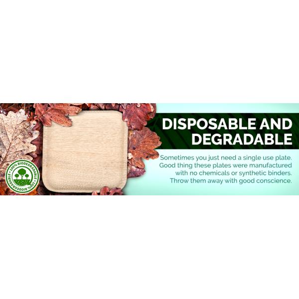 10-Piece Set of Palm Leaf Plates for Wedding Dinner Round and Square Disposable Dishes