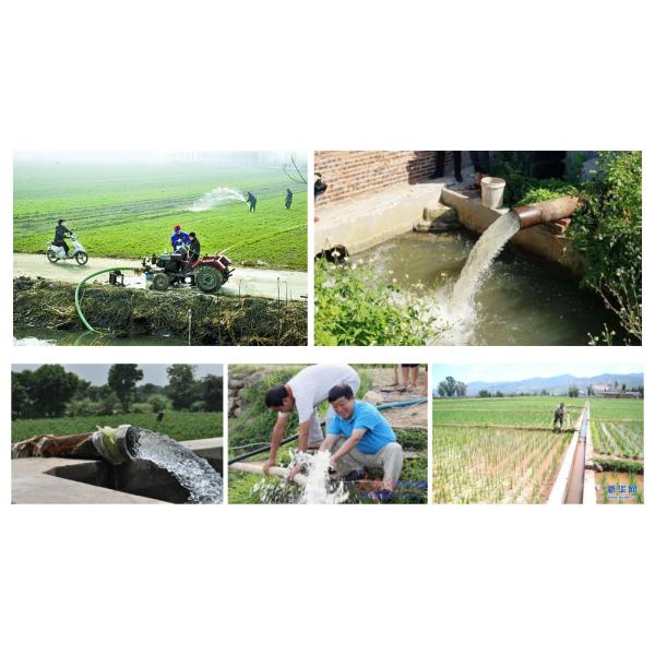 Насос одиночного этапа ИП54 ИП55 центробежный, насос НФМ-129А воды серии НФМ чистый