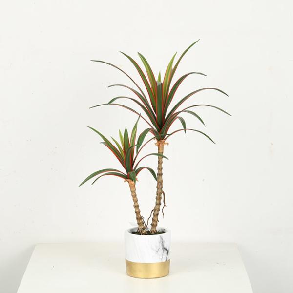 Red Side Dracaena Artificial Bonsai Tree For Indoor Decoration 38 CM 50 CM 68 CM