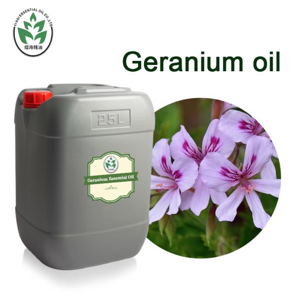 CAS 8000-46-2 100% Pure Rose Geranium Essential Oil Body SPA Use