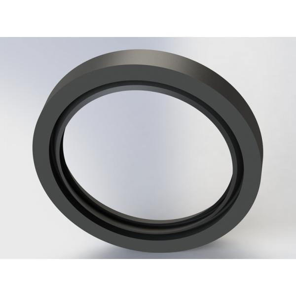 Standard High Speed Rotary Shaft Seals PU POM PTFE NBR TPE Rubber For Industrial
