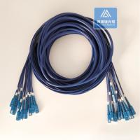 12 Cores Stainless Steel Armored Patch Cord SC-SC-30m Blue PVC 5.0mm Rodent Resistant