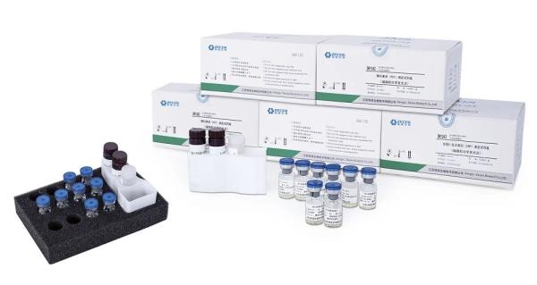 60T/H Automated Immunoassay Analyzer CIA600 TIP Sampling For In Vitro Diagnostic CLIA AP System Machine