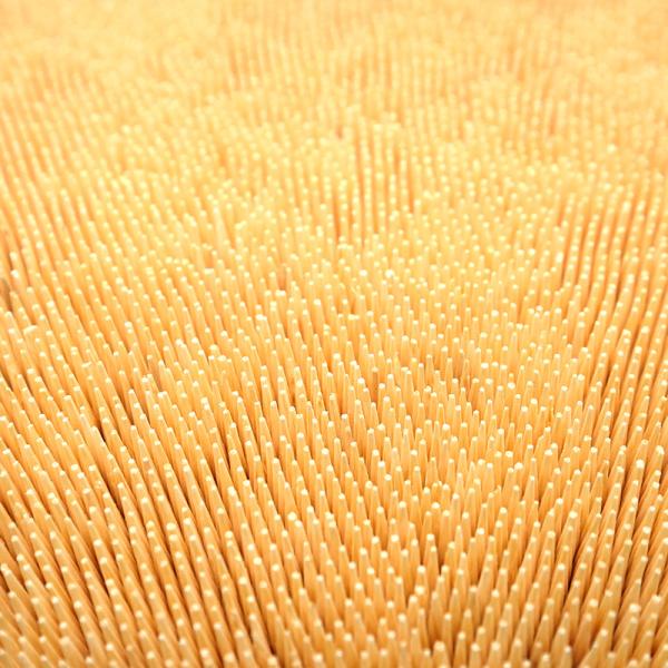 Ferramentas de madeira de bambu naturais dentais do palito para o cuidado oral do hotel do restaurante da casa