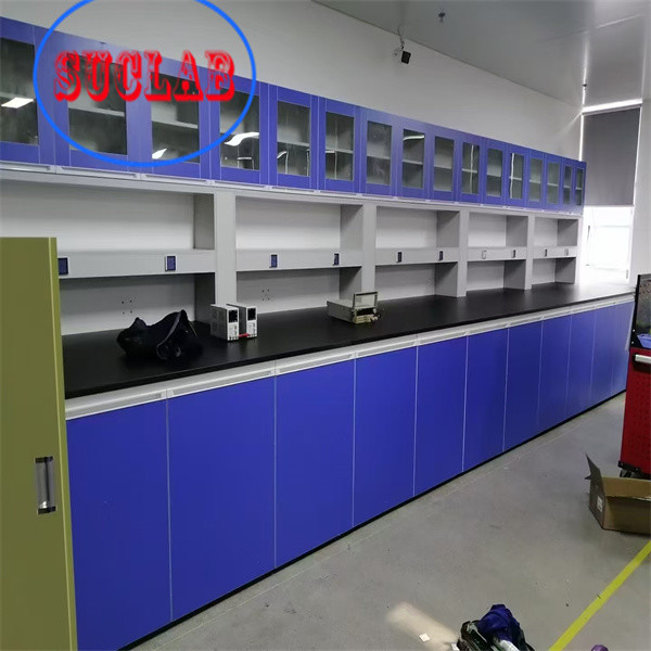 Modular Lab Furniture Suppliers Hong Kong Fast Installation and Stainless Steel for State-of-the-Art Labs