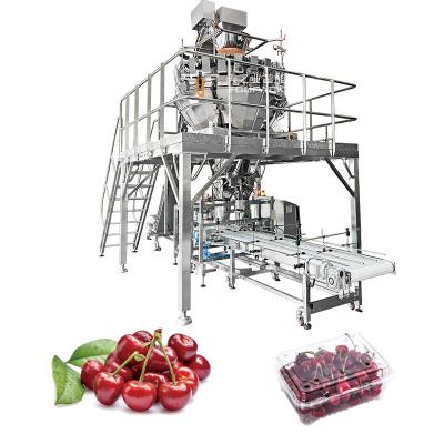 Automatic Fruit Packing Machine Apple Cherry Tomato Canning Packing Kumquat Tray Packaging Machine