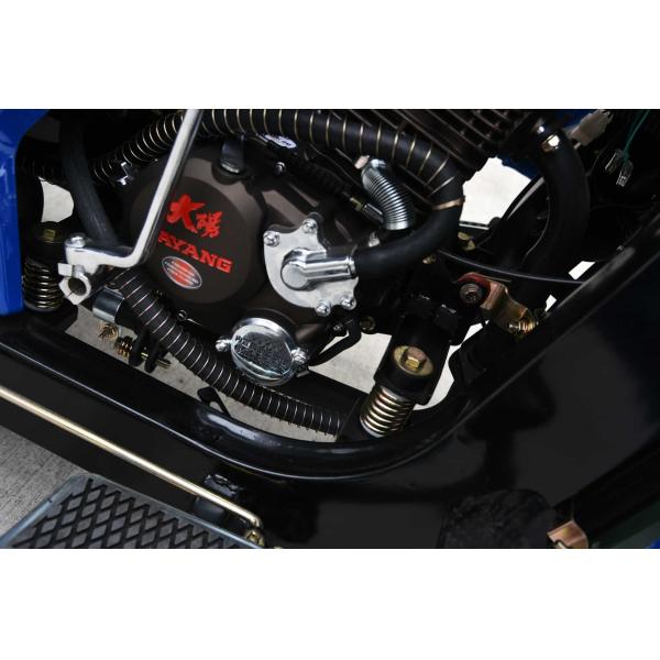 200cc/250cc/300cc Water Cooled Engine Blue Color 1600L Cargo Water Tank Tricycles