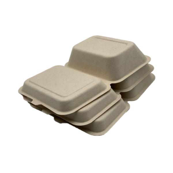 Disposable Bagasse 7×5 Inch 20g Bio Food Packaging