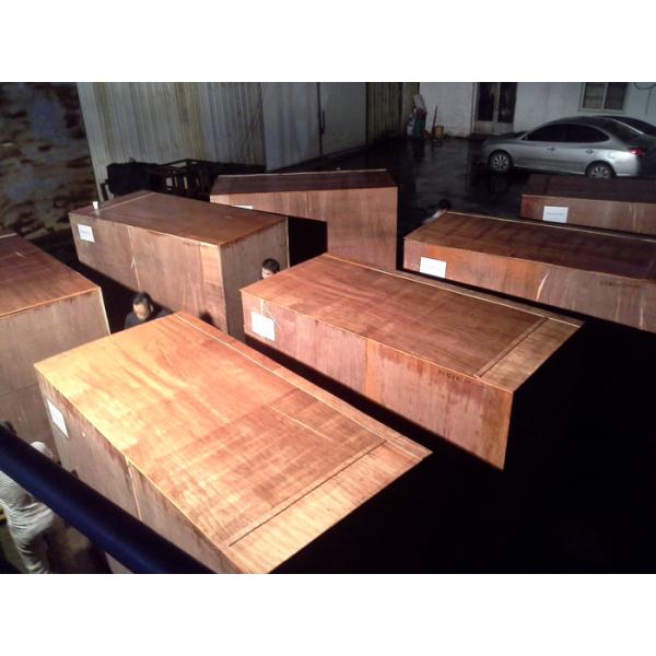 Полностью автоматическая бумажная шлюпка машины чашки торта сформировала/круглые бумажные стаканчики