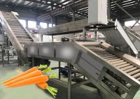 Do equipamento de processamento vegetal da cenoura do projeto modular tensão 220V/380V