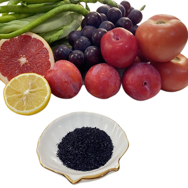 Black Flake High Purity Humic Acid 80% Water Solubility