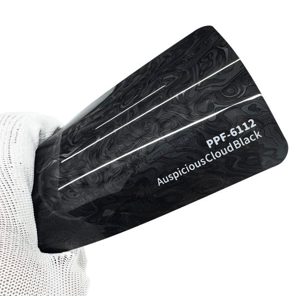 Le film de protection de la peinture noire 8 mil Froged Protection Film