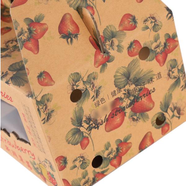 Подносов картонной коробки плода Eco логотип размера дружелюбных облегченный изготовленный на заказ