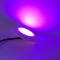 lumière blanche chaude de tache de la piscine 12W 2700K pour le jacuzzi
