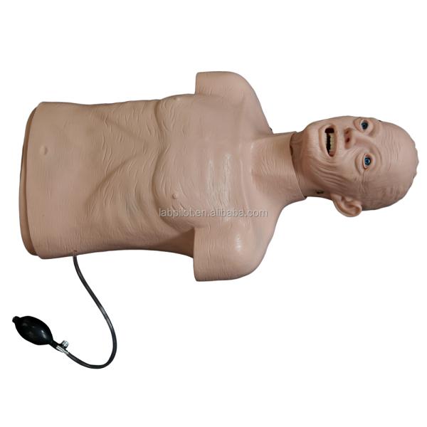 Electronic Type Elderly CPR and Intubation Training Manikin for Lifesaving Techniques