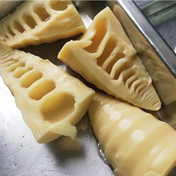 Hot Wholesale Chinese Fine Quality Freshly Slender Pickled Canned Bamboo Shoots Cut Into Halves