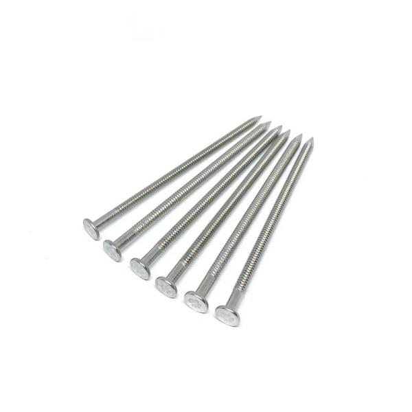 Chef plat de protection de rouille Ring Shank Nails SUS316 pour extérieur