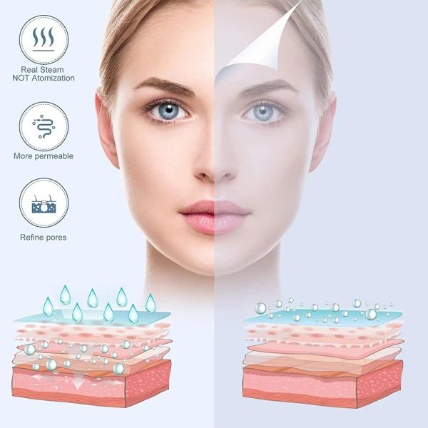 Commercial Ionic Facial Steamer for Skin Rejuvenation Handheld 2 in 1 Facial Machine