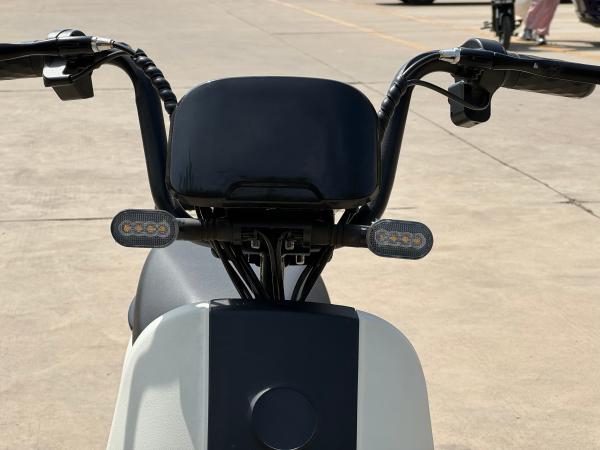 L1-D  350W new two-wheeled electric vehicle