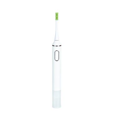 Intelligent IPX7 White Sonic Toothbrush Automatic With 4 Modes