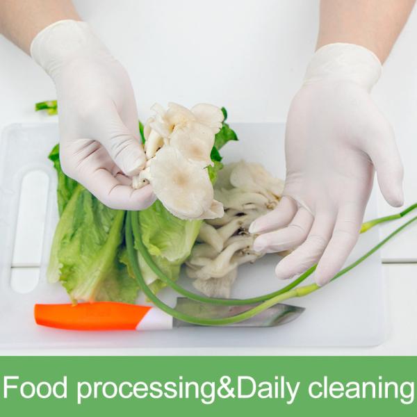 Powder Free 100pcs/Box XXL Latex Disposable Gloves