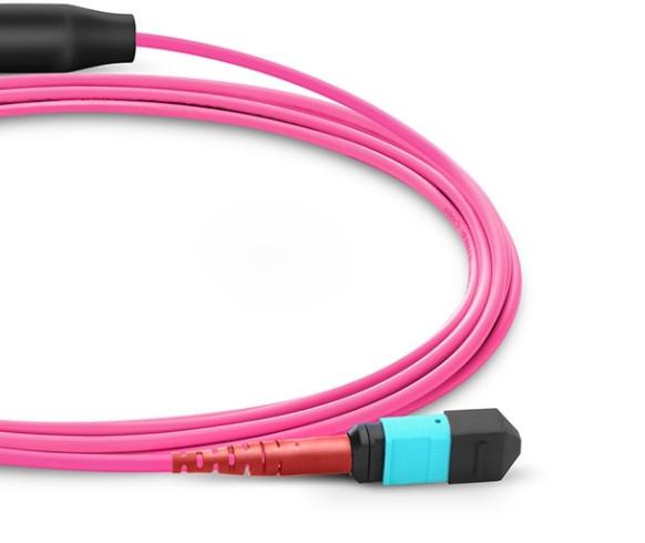 Customized MTP MPO OM4 Multimode 24 Fiber Optic Cable Conversion Harness
