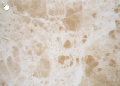 White Granite Marble Self Adhesive Vinyl Film For Countertops Sticker