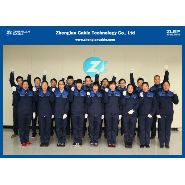 AAC Overhead Bare Conductor Wire/AWG Cable (Nominal Area:10~1500mm2), （AAC,AAAC,ACSR）